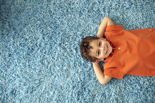 Evdeki Halıları Yıkamak Mümkün mü? görseli